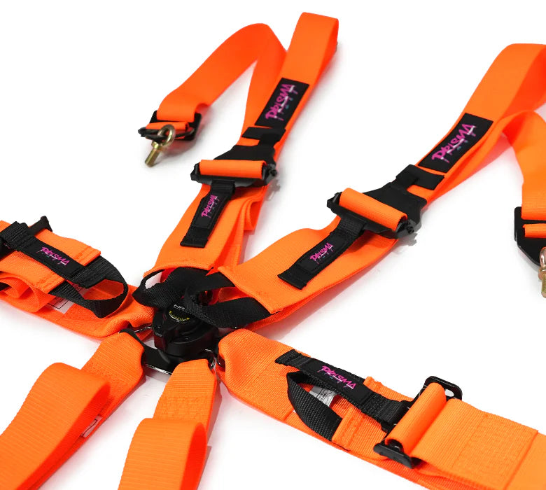 Prisma FIA Seatbelt Harnesses