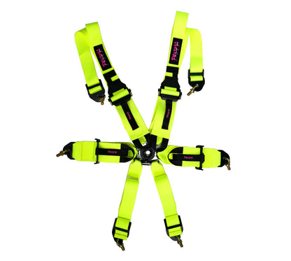 Prisma FIA Seatbelt Harnesses