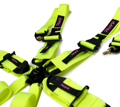 Prisma FIA Seatbelt Harnesses